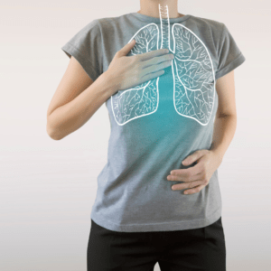 Where the lungs are positioned in the body